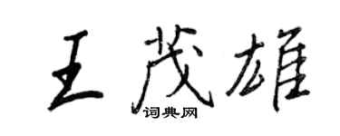 王正良王茂雄行書個性簽名怎么寫