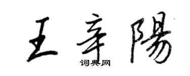 王正良王辛陽行書個性簽名怎么寫