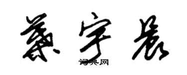 朱錫榮葉宇晨草書個性簽名怎么寫