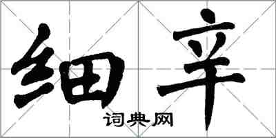 翁闓運細辛楷書怎么寫