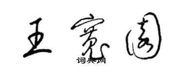 梁錦英王寬園草書個性簽名怎么寫