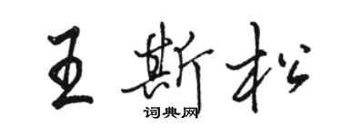 駱恆光王斯松行書個性簽名怎么寫