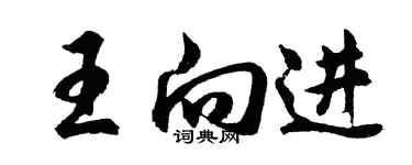 胡問遂王向進行書個性簽名怎么寫