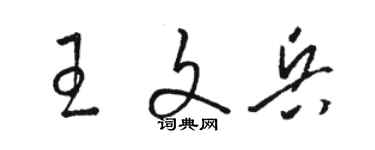 駱恆光王文兵草書個性簽名怎么寫