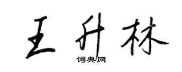 王正良王升林行書個性簽名怎么寫