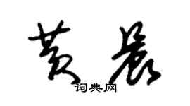 朱錫榮黃晨草書個性簽名怎么寫