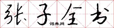 張子全書怎么寫好看