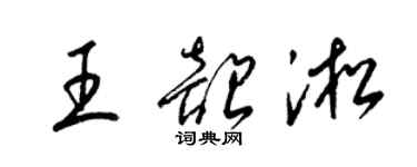 梁錦英王韶淞草書個性簽名怎么寫