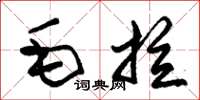 朱錫榮毛拉草書怎么寫
