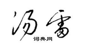 梁錦英湯雷草書個性簽名怎么寫