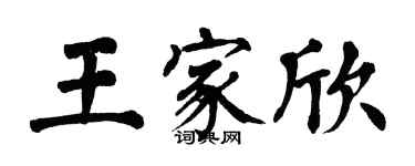 翁闓運王家欣楷書個性簽名怎么寫