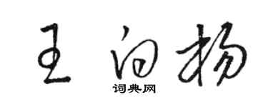 駱恆光王白楊草書個性簽名怎么寫