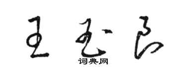 駱恆光王玉良草書個性簽名怎么寫