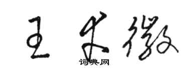 駱恆光王幸徽草書個性簽名怎么寫