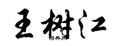 胡問遂王樹江行書個性簽名怎么寫