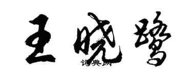 胡問遂王曉鷺行書個性簽名怎么寫