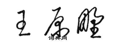 駱恆光王原野草書個性簽名怎么寫