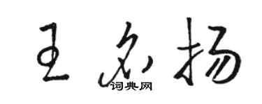 駱恆光王名揚草書個性簽名怎么寫