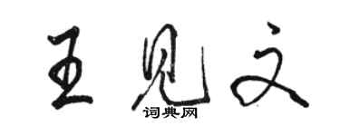 駱恆光王見文行書個性簽名怎么寫