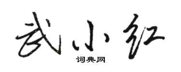 駱恆光武小紅行書個性簽名怎么寫