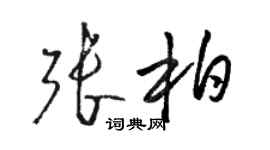 駱恆光張柏草書個性簽名怎么寫