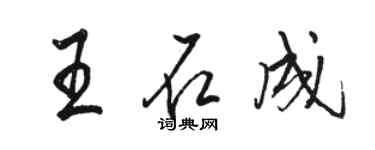 駱恆光王石成行書個性簽名怎么寫