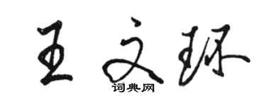 駱恆光王文環行書個性簽名怎么寫