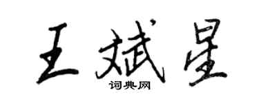 王正良王斌星行書個性簽名怎么寫