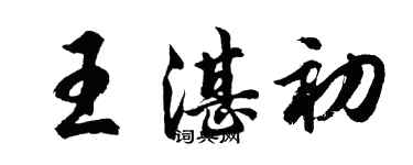 胡問遂王湛初行書個性簽名怎么寫