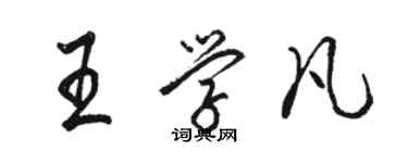 駱恆光王學凡行書個性簽名怎么寫