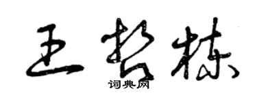 曾慶福王哲棟草書個性簽名怎么寫