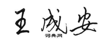 駱恆光王成安行書個性簽名怎么寫