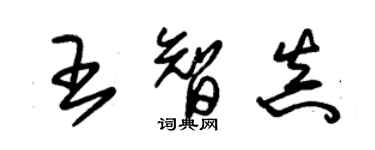 朱錫榮王智真草書個性簽名怎么寫