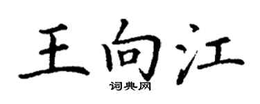 丁謙王向江楷書個性簽名怎么寫