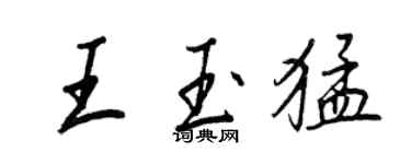 王正良王玉猛行書個性簽名怎么寫