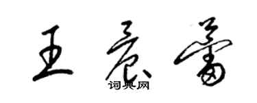 梁錦英王晨蕾草書個性簽名怎么寫