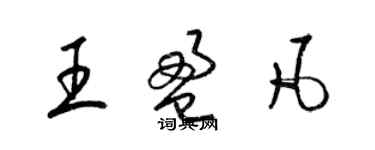 梁錦英王盈凡草書個性簽名怎么寫