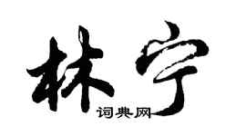 胡問遂林寧行書個性簽名怎么寫