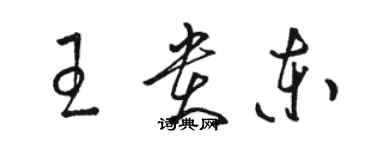 駱恆光王貴東草書個性簽名怎么寫