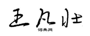 曾慶福王凡壯草書個性簽名怎么寫