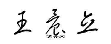 梁錦英王晨立草書個性簽名怎么寫