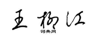 梁錦英王柳江草書個性簽名怎么寫