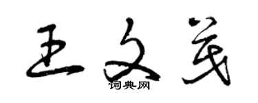 曾慶福王文茂草書個性簽名怎么寫