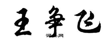 胡問遂王爭飛行書個性簽名怎么寫