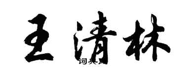 胡問遂王清林行書個性簽名怎么寫