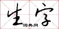 生字怎么寫好看