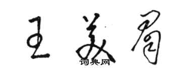 駱恆光王美眉草書個性簽名怎么寫