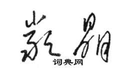 駱恆光嚴晶草書個性簽名怎么寫