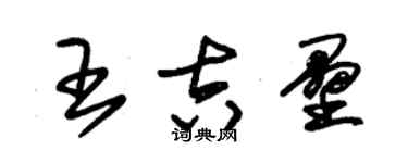 朱錫榮王吉壘草書個性簽名怎么寫