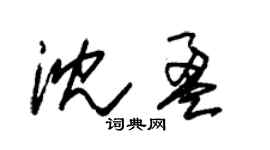 朱錫榮沈盈草書個性簽名怎么寫